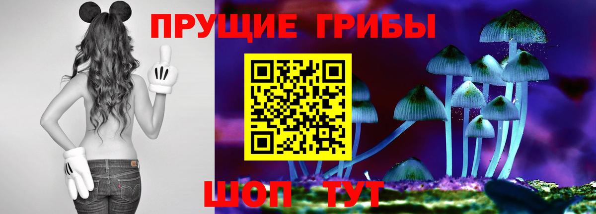 Псилоцибиновые грибы мицелий  Вход с VPN  Кизилюрт  Псилоцибиновые грибы Psilocybine cubensis 